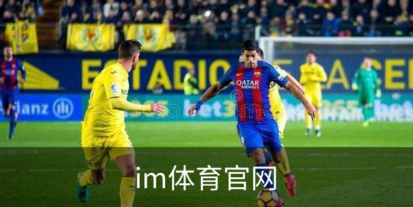 了解im体育官网